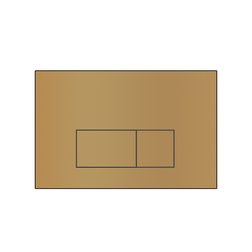 brushed gold flush plate