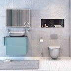 wall mounted toilet - tapron