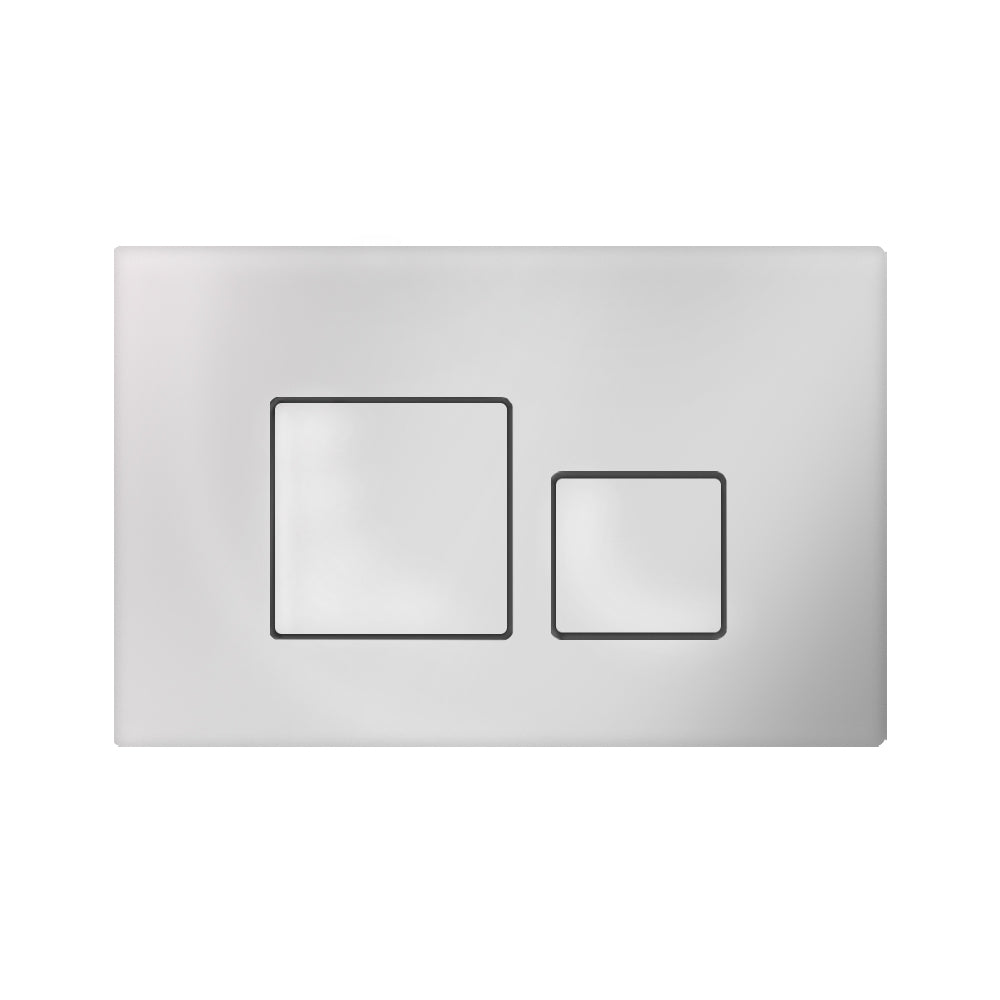 chrome_dual_flush_plate