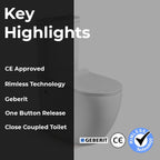 Back to the wall close coupled toilet-Tapron 