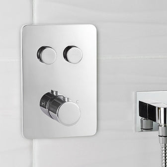Overflow Filler 2 Outlet Push Button Thermostatic Shower Valve, Overhead Shower and Secondary image