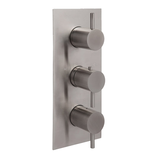 Thermostatic Shower Valve Stainless Steel Two Outlets | tapron 1000