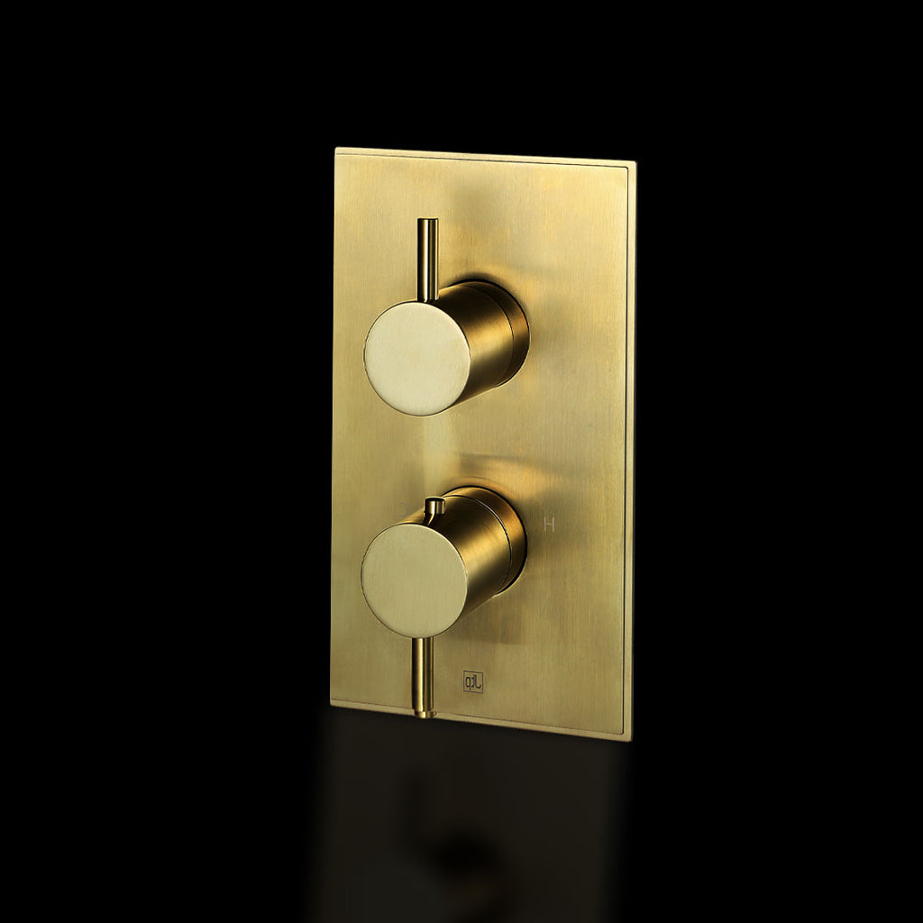 1 Outlet Thermostatic Concealed Valve - Vertical