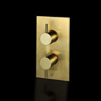 1 Outlet Thermostatic Concealed Valve - Vertical