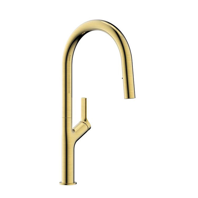 Tapron Gold Kitchen Tap with Dual Function Pull Out Spray
