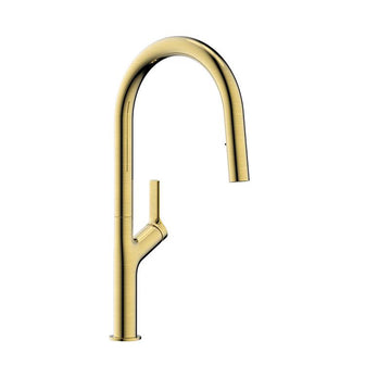 Tapron Gold Kitchen Tap with Dual Function Pull Out Spray Main image