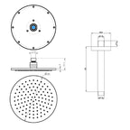 shower ceiling arm and head - tapron