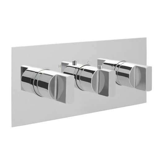 Concealed Thermostatic Shower Mixer Valve with Twin Outlets