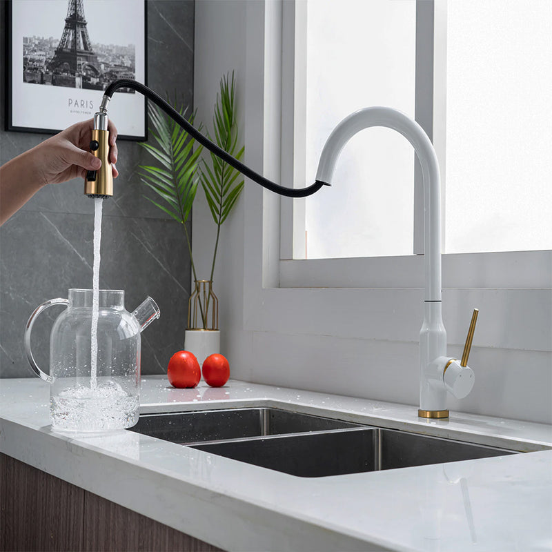 kitchen mixer tap with pull out spray - tapron