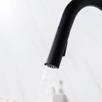 pull out spray kitchen tap - Tapron