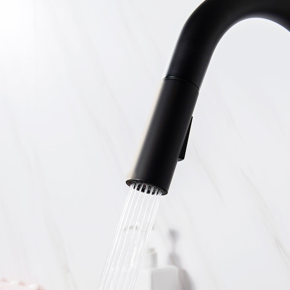 pull out spray kitchen tap - Tapron