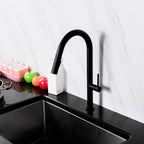 kitchen tap with pull out spray - Tapron