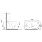 rimless close coupled toilet