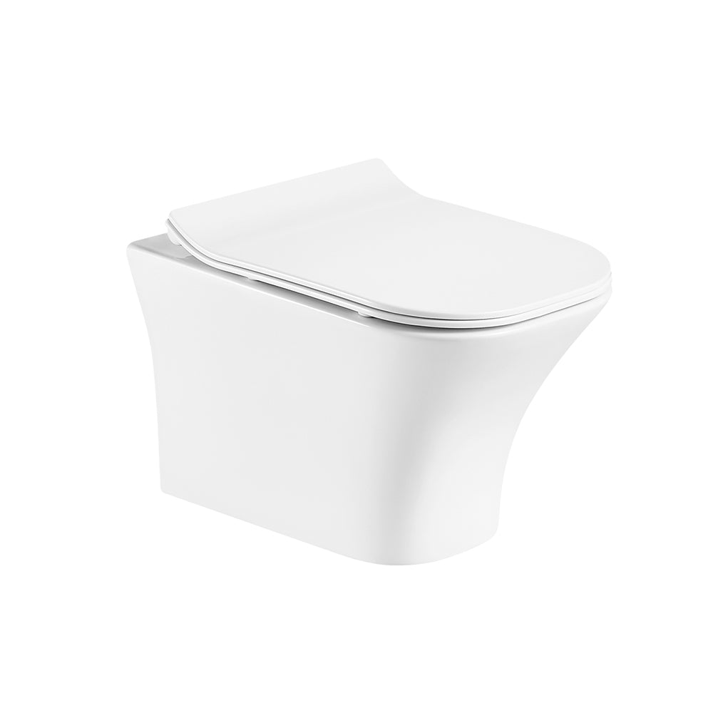 rimless_wall_hung_toilet