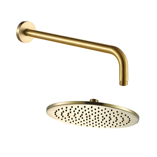 gold shower head and arm - tapron 1000