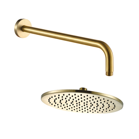gold shower head and arm - tapron