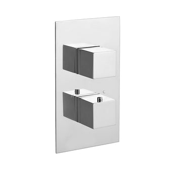 buy 2 outlet concealed shower valve dual handle tapron Main image