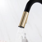 pull out kitchen tap - Tapron