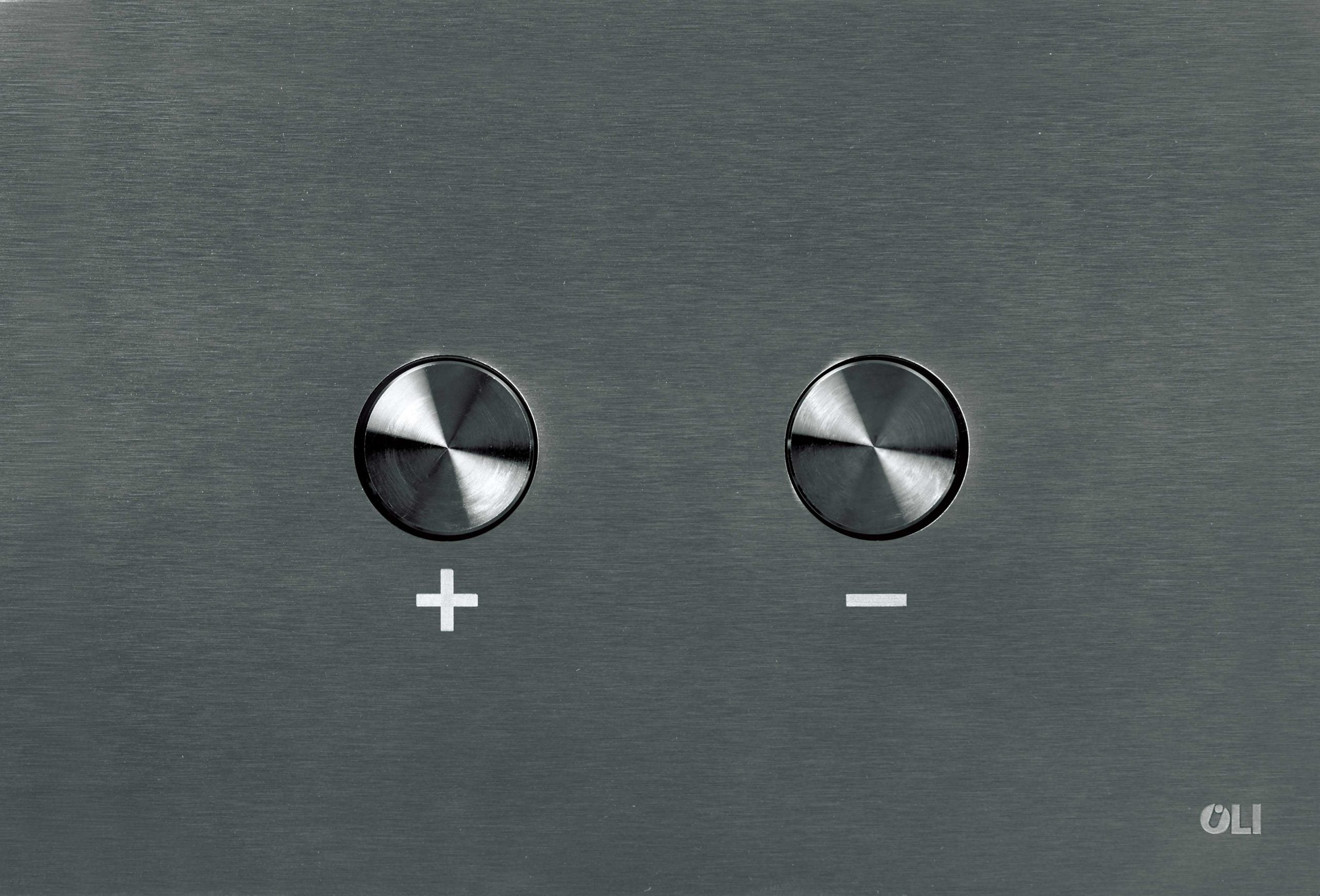 Dual flush plate