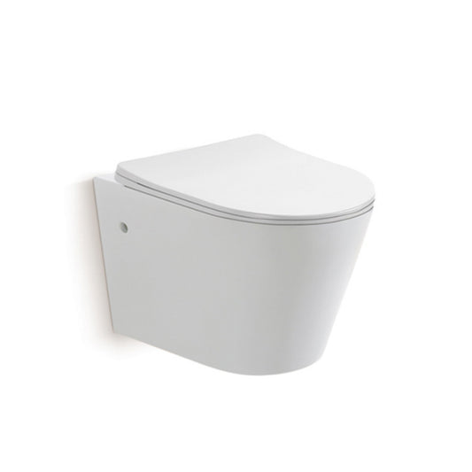 wall hung toilet